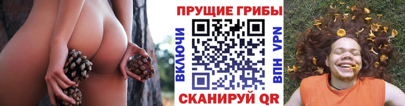 как найти закладки  Далматово  Галлюциногенные грибы ЛСД 